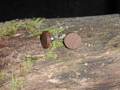 Ohrstecker aus Wenge 